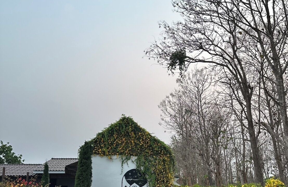 Photo of Outdoor in Mae Chan
