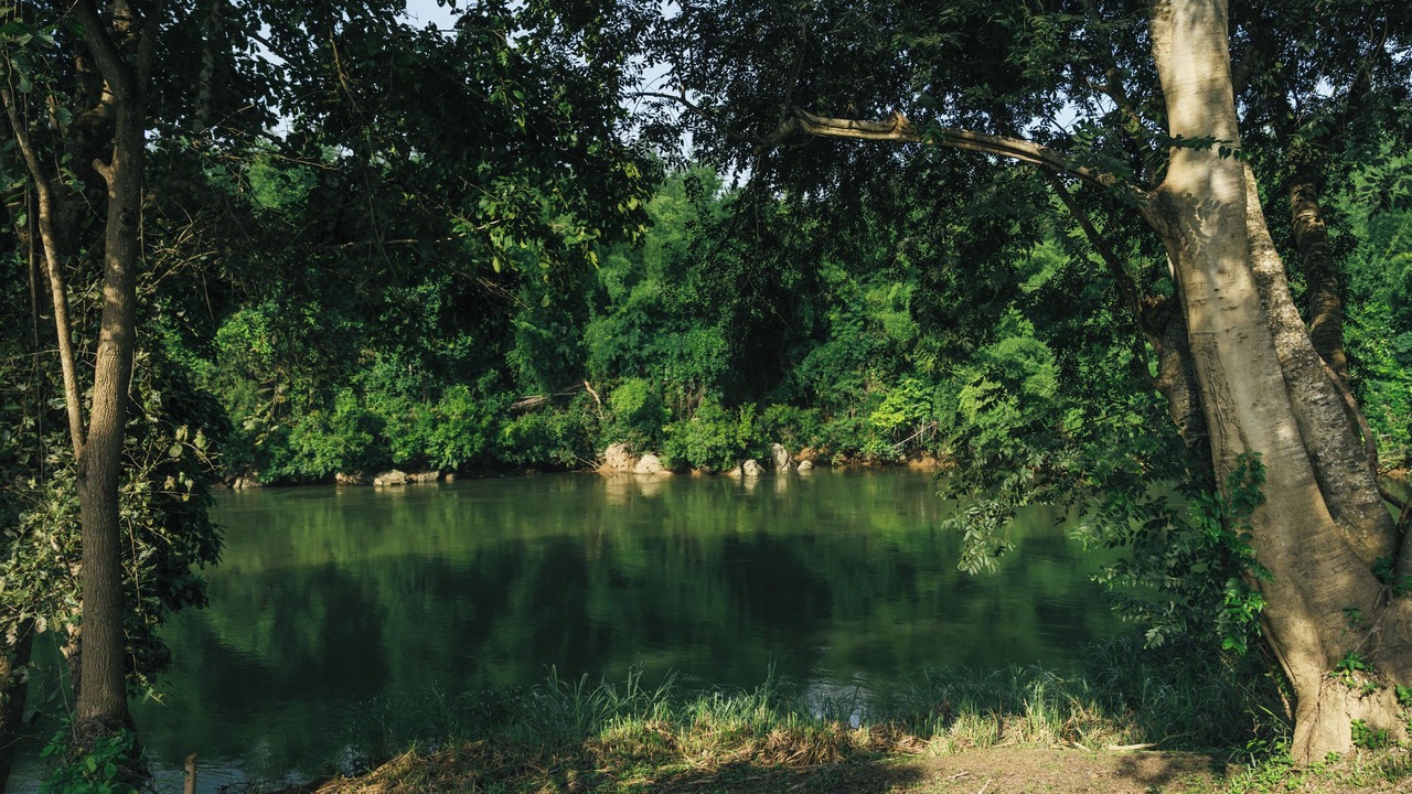 Photo of Outdoor in Sai Yok