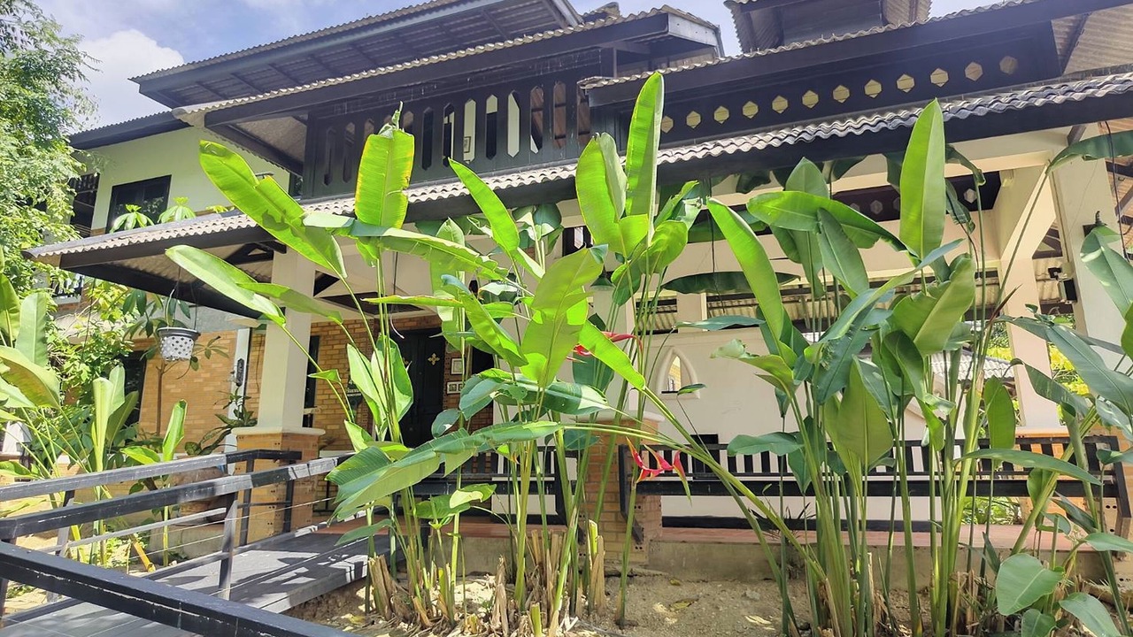 Photo of Outdoor in Mae Rim