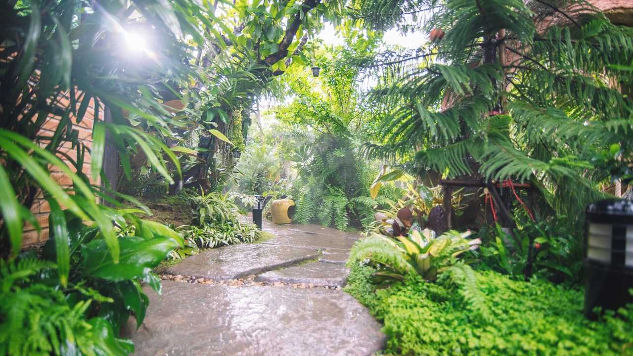 Photo of Outdoor in Nong Hoi