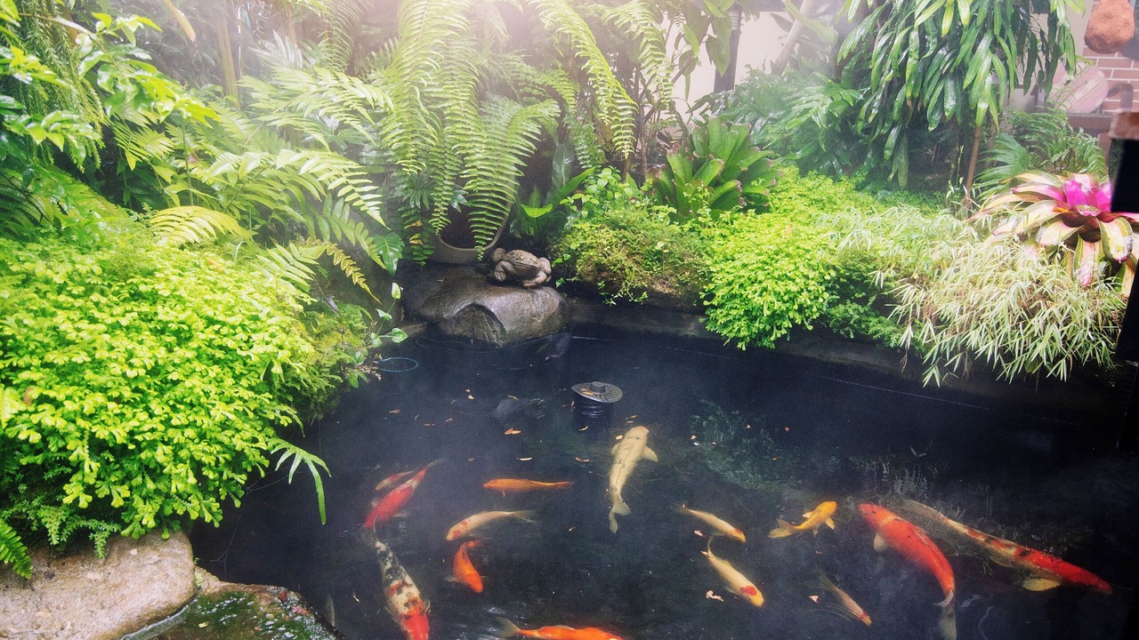 Photo of Outdoor in Nong Hoi