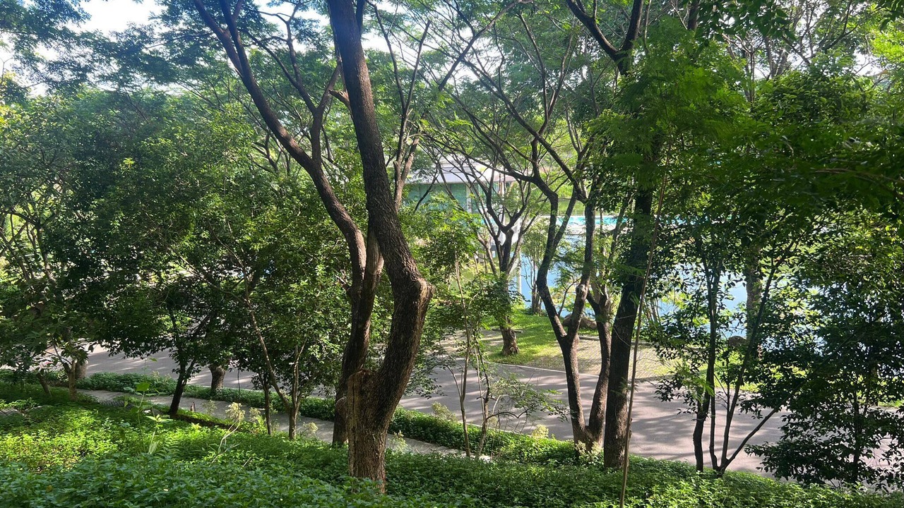 Photo of Patio Balcony in Pong Ta Long
