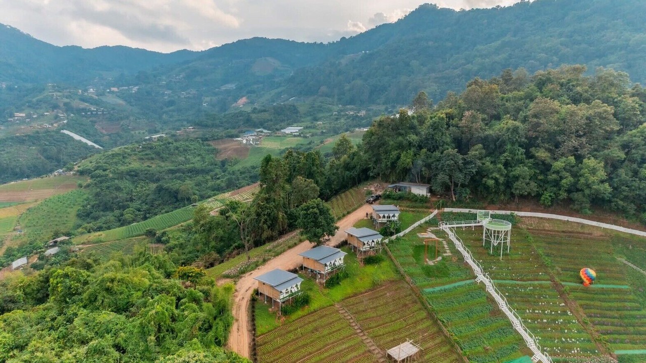 Photo of Outdoor in Pong Yaeng