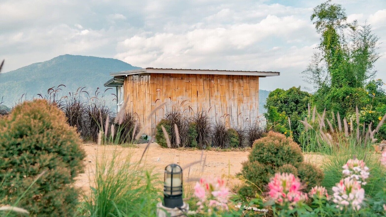 Photo of Outdoor in Pong Yaeng