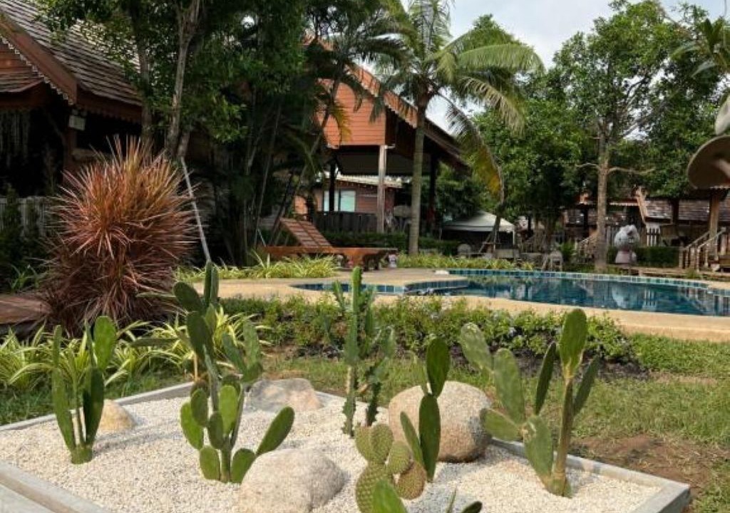 Photo of Outdoor in Pong