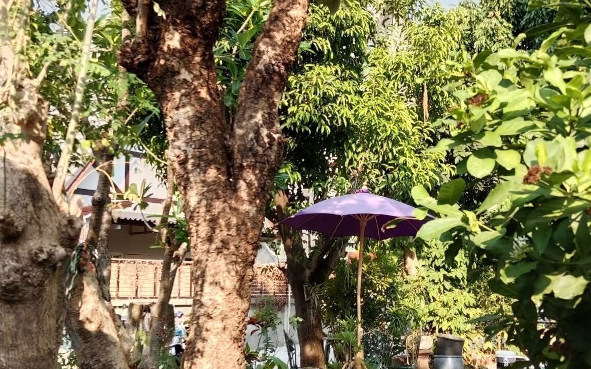 Photo of Outdoor in Chiang Mai