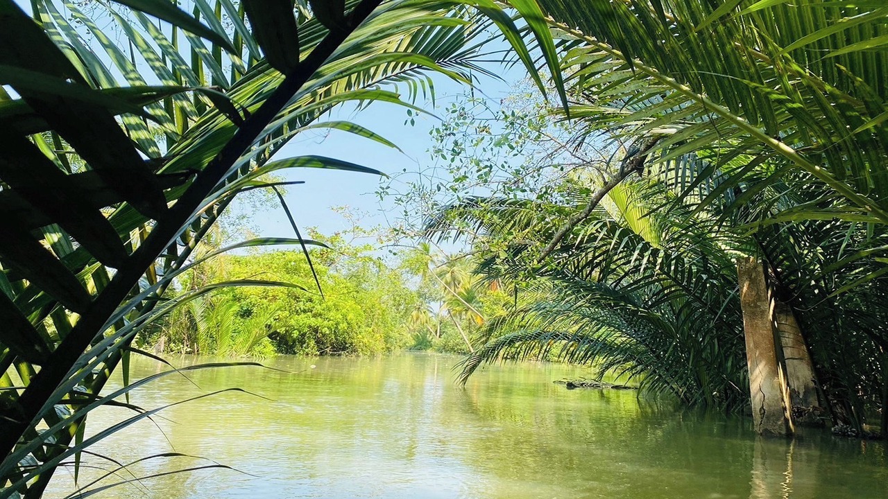 Photo of Outdoor in Ban Pa Yang