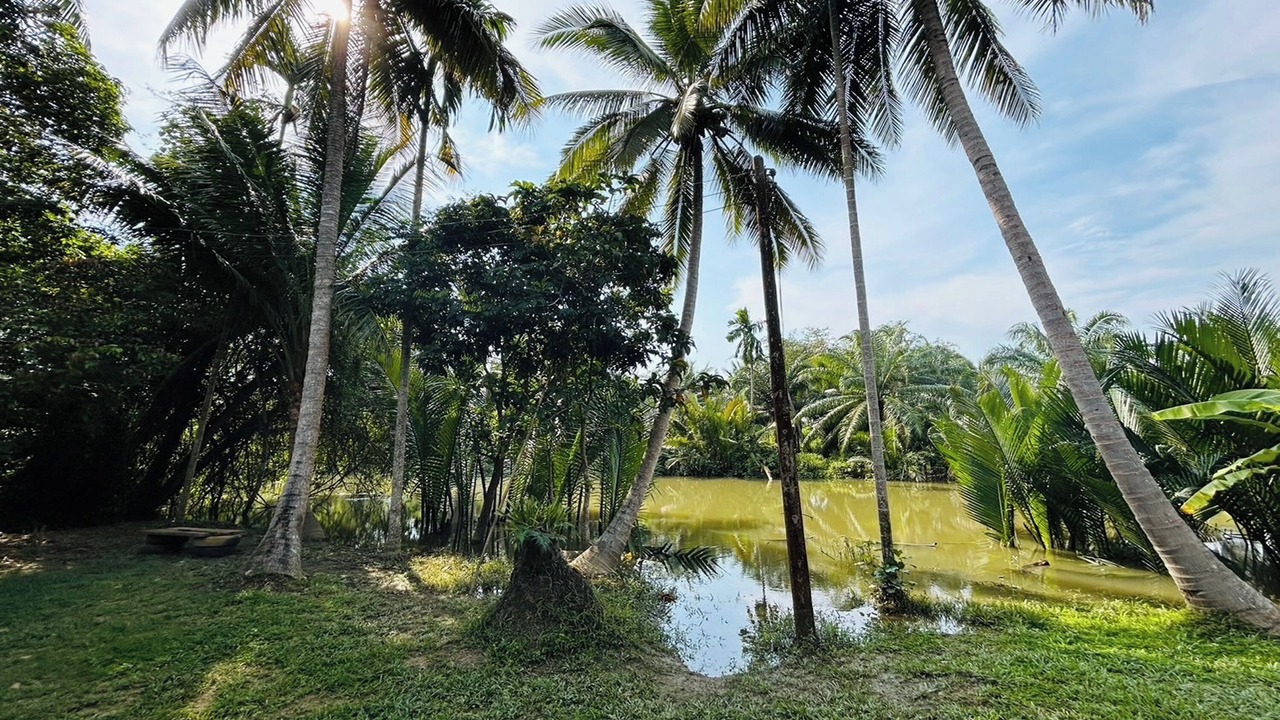Photo of Outdoor in Ban Pa Yang