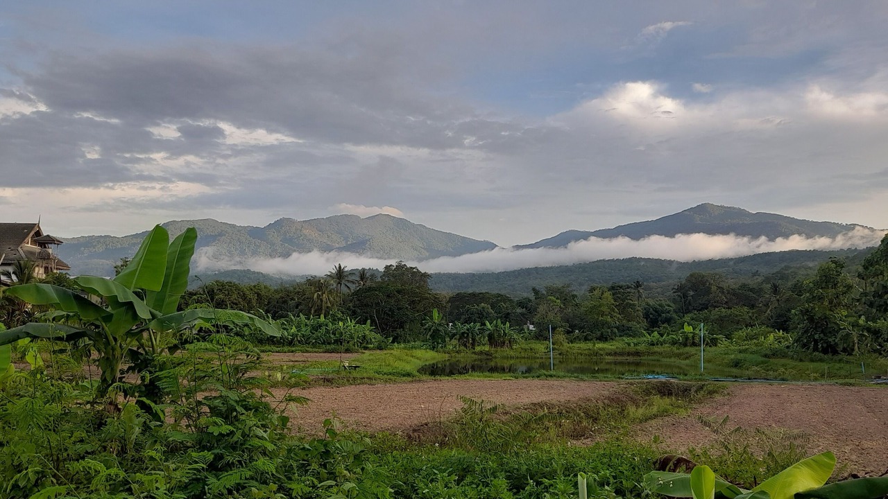 Photo of Outdoor in Mae Rim