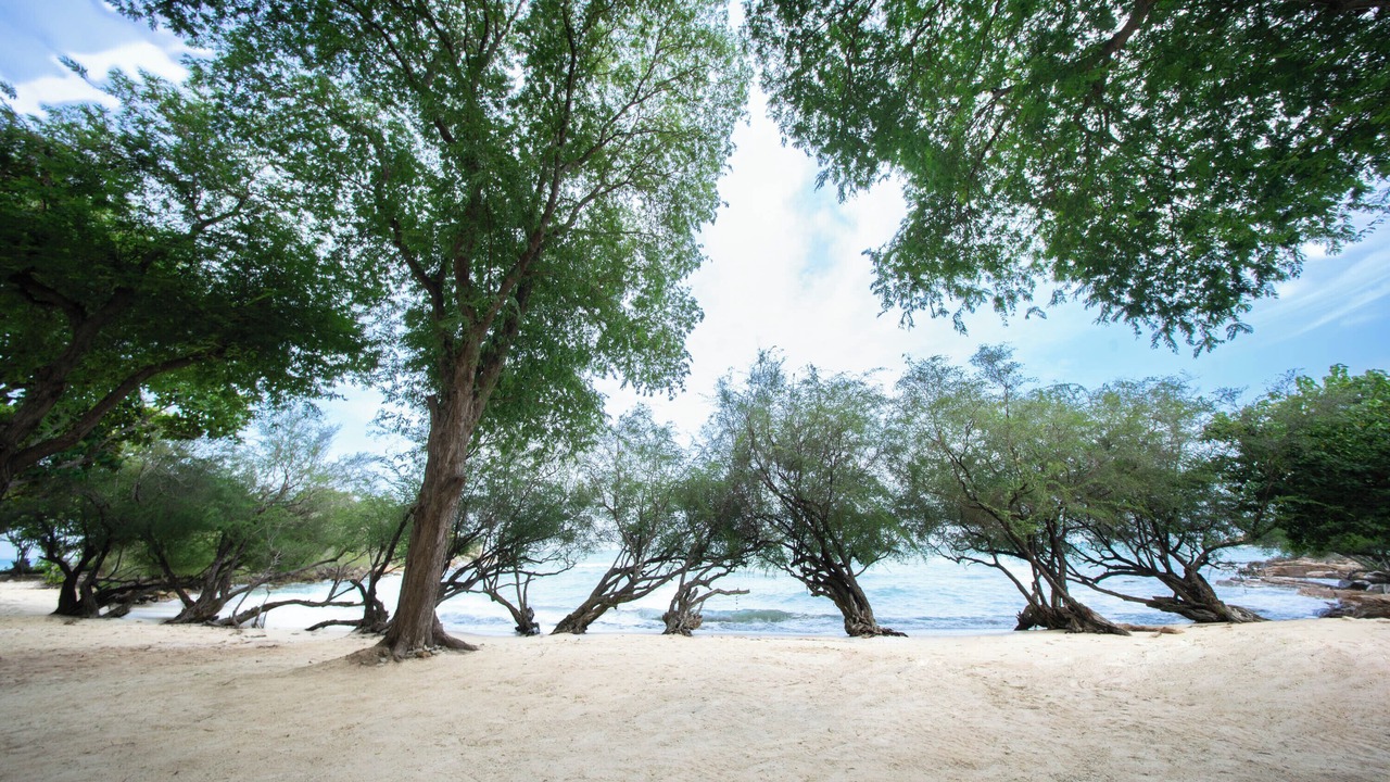 Photo of Outdoor in Rayong