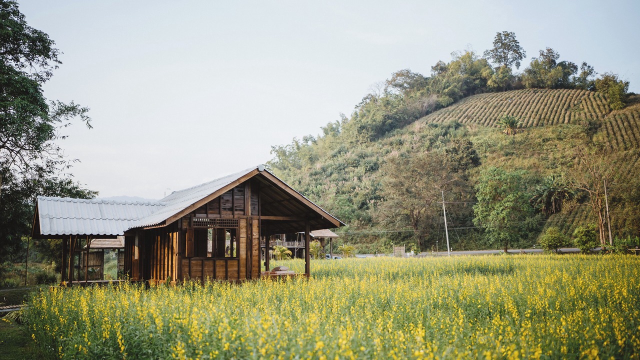Photo of Others in Mae Kon