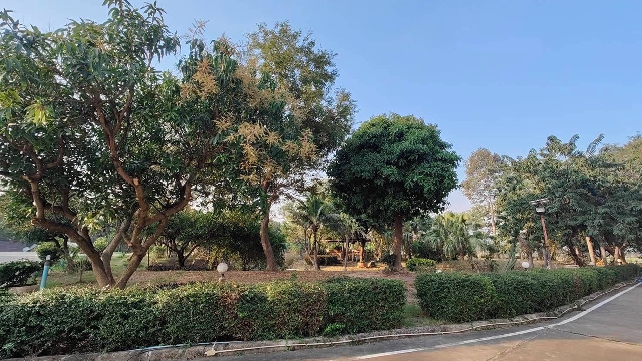 Photo of Outdoor in Photharam