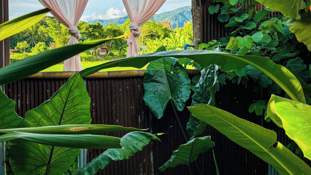 Photo of Outdoor in Chiang Klang
