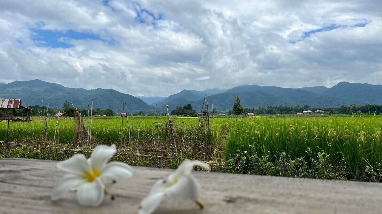 Photo of Outdoor in Chiang Klang