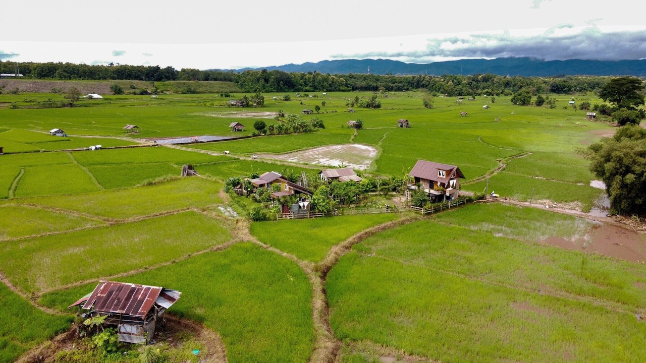Photo of Outdoor in Chiang Klang