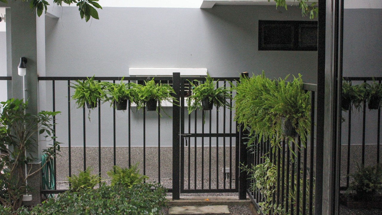 Photo of Others in Khlong Hae