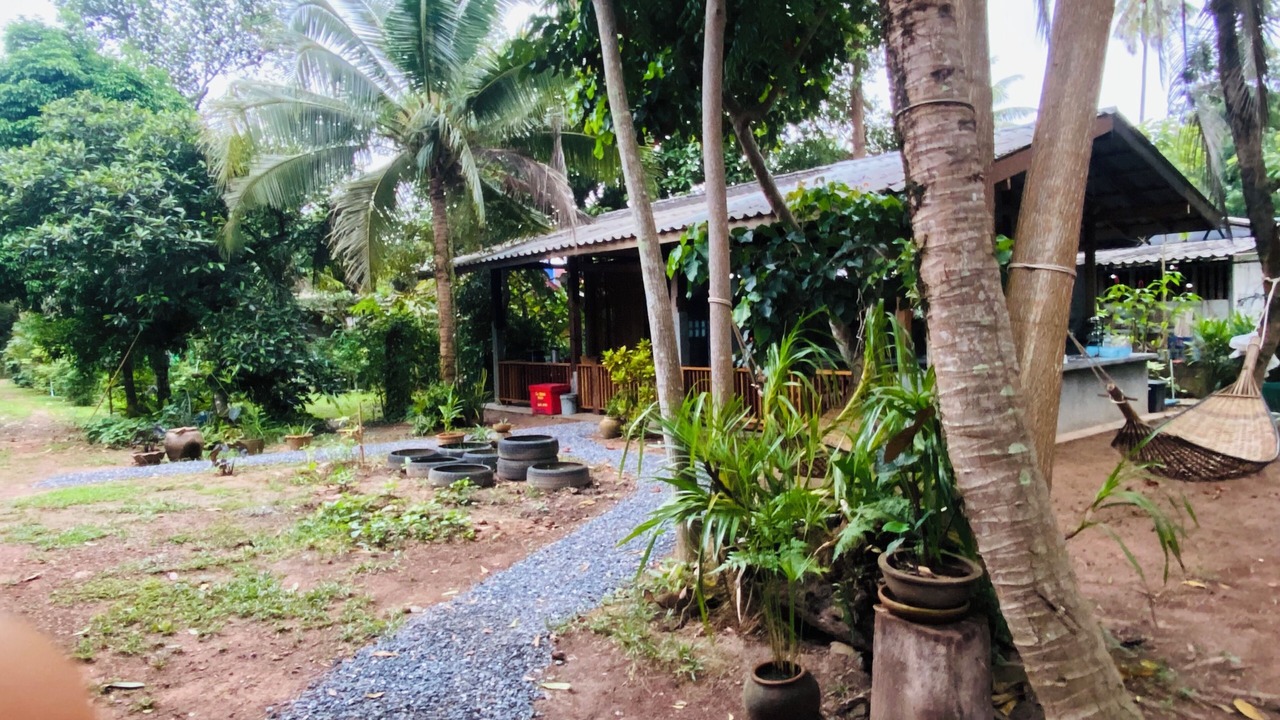 Photo of Outdoor in Nuea Khlong