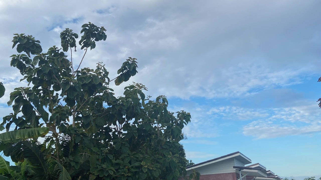 Photo of Outdoor in Kamphaeng Saen
