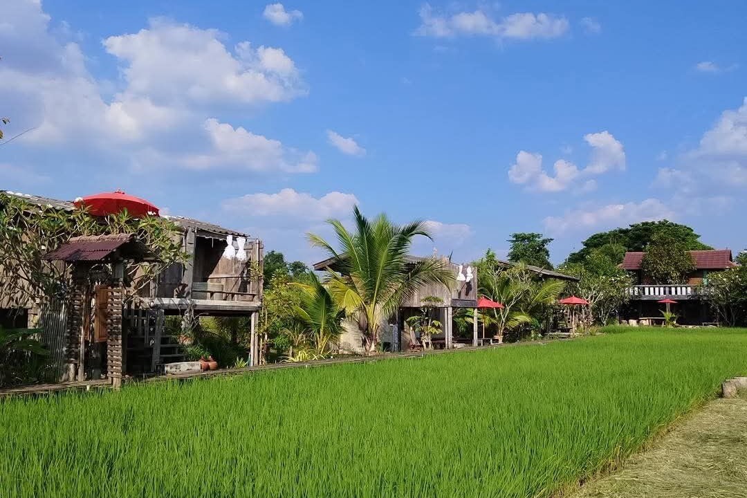 Photo of Outdoor in Chom Thong