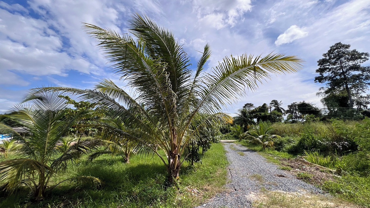Photo of Outdoor in Ban Wang Hom