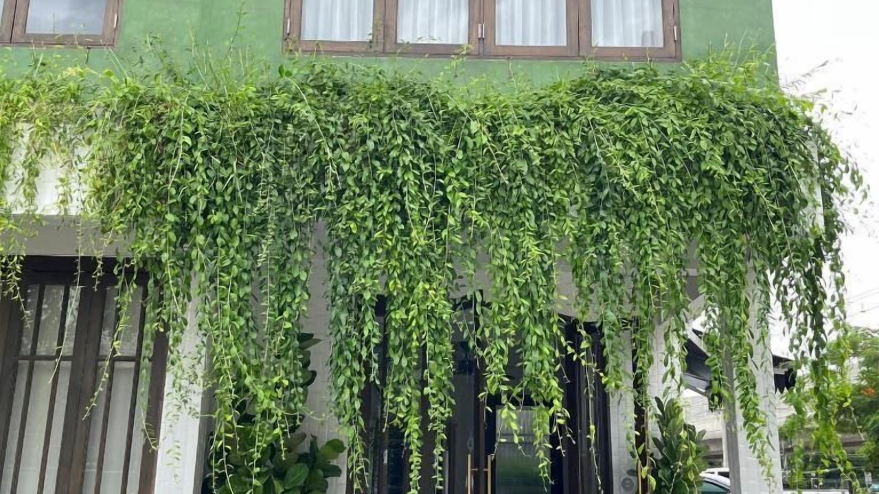 Photo of Outdoor in Nonthaburi