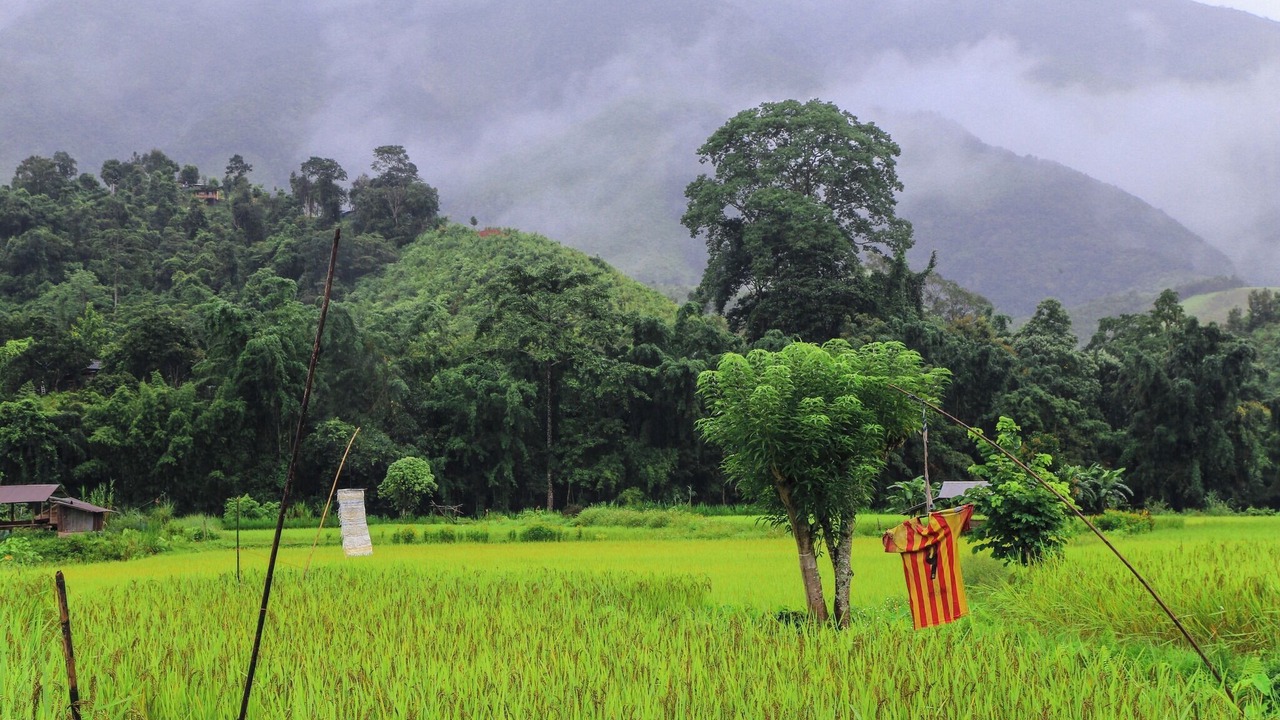 Photo of Outdoor in Bo Kluea
