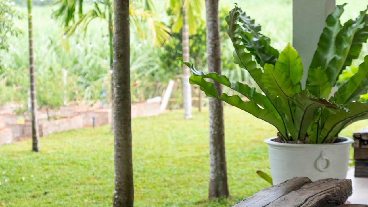 Photo of Outdoor in Nong Sarai
