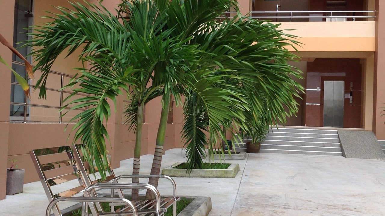 Photo of Outdoor in Makham Tia