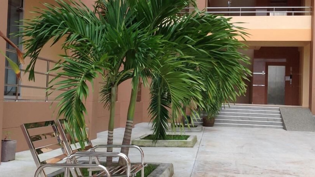 Photo of Outdoor in Makham Tia