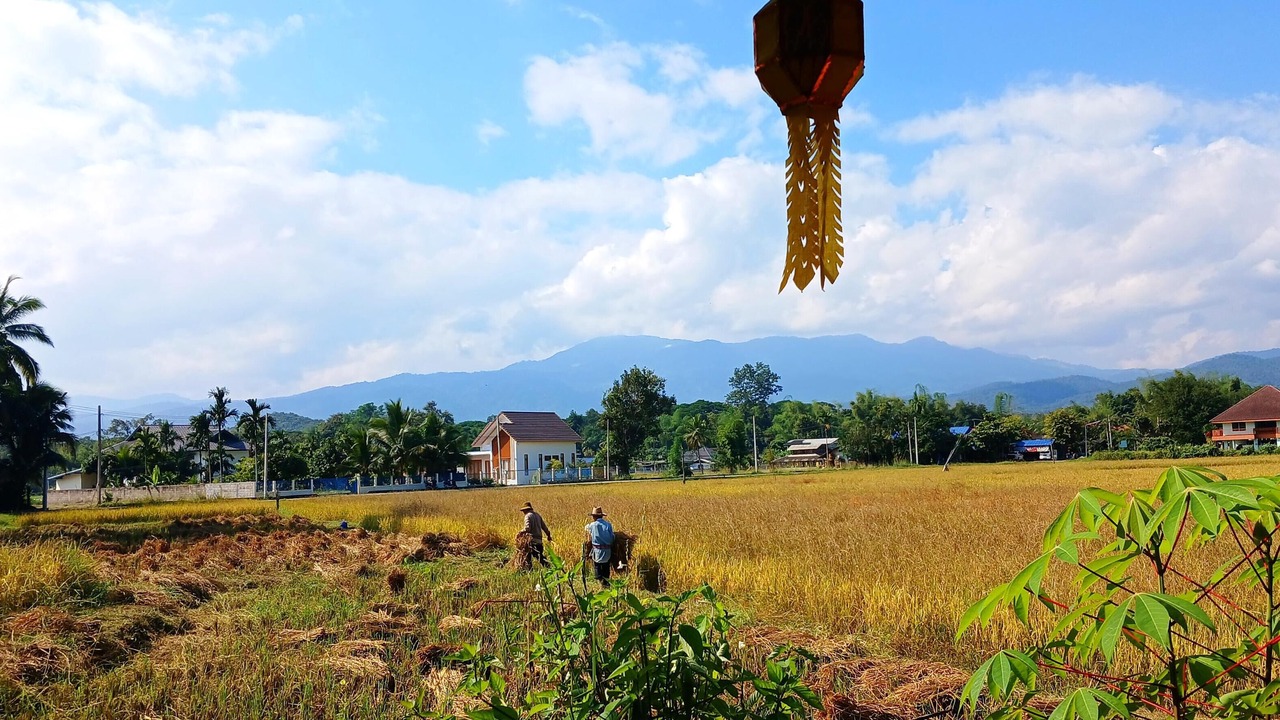 Photo of Outdoor in Huai Sai