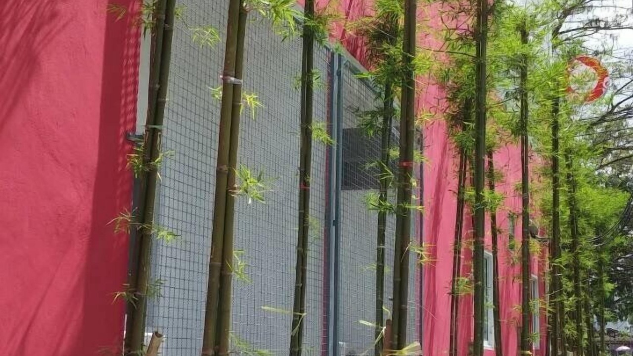 Photo of Outdoor in Thung Song