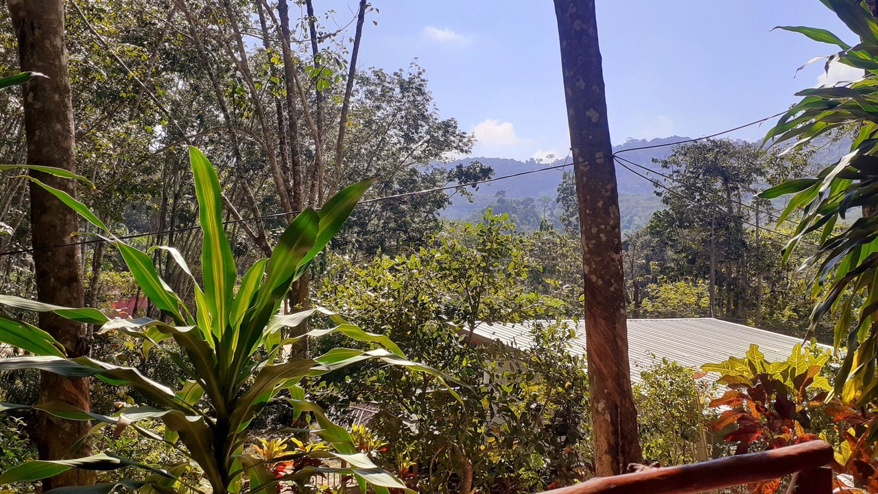 Photo of Bedroom in Ko Lanta