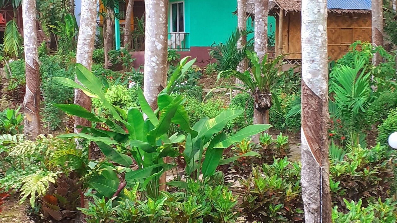 Photo of Others in Ko Lanta