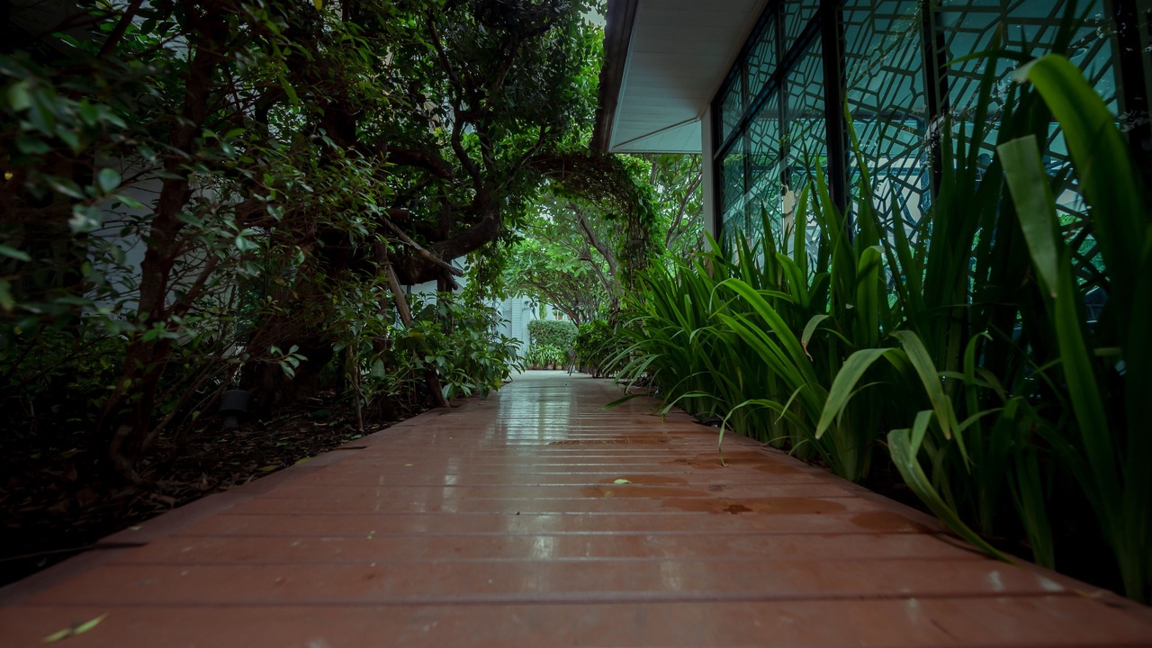 Photo of Outdoor in Mak Khaeng