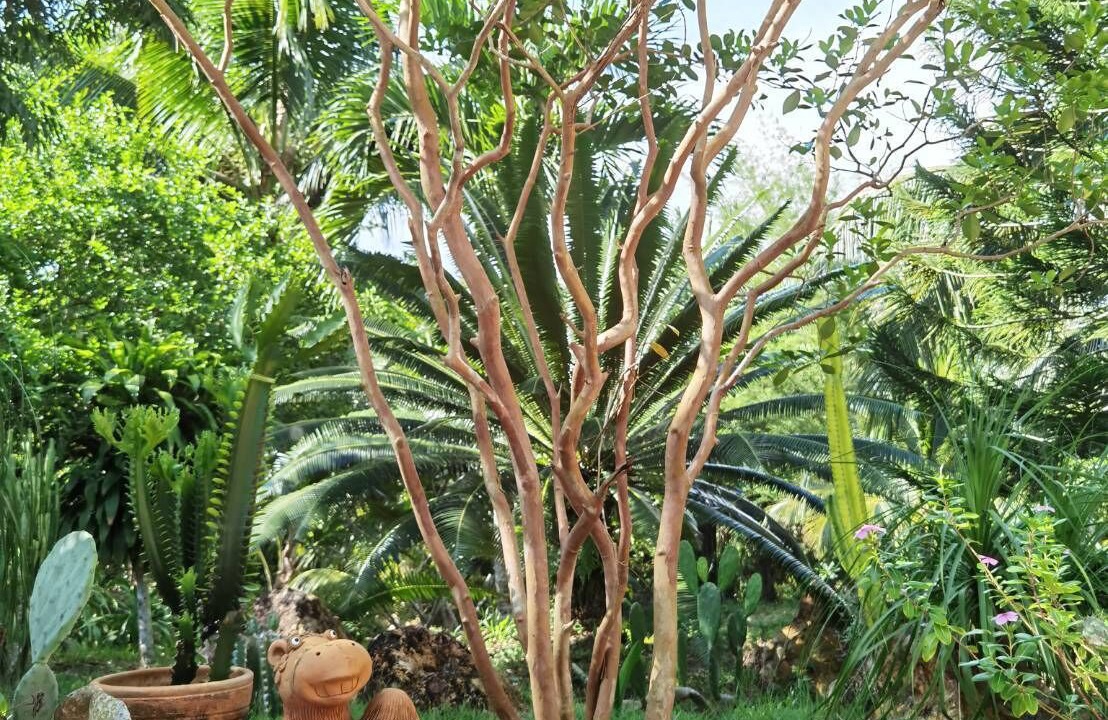 Photo of Outdoor in Huai Nam Khao