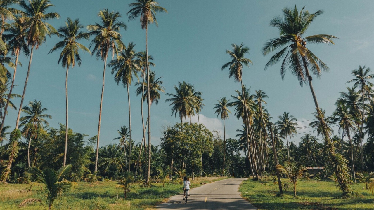 Photo of Outdoor in Chumphon