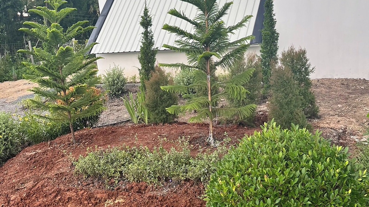 Photo of Outdoor in Pak Chong