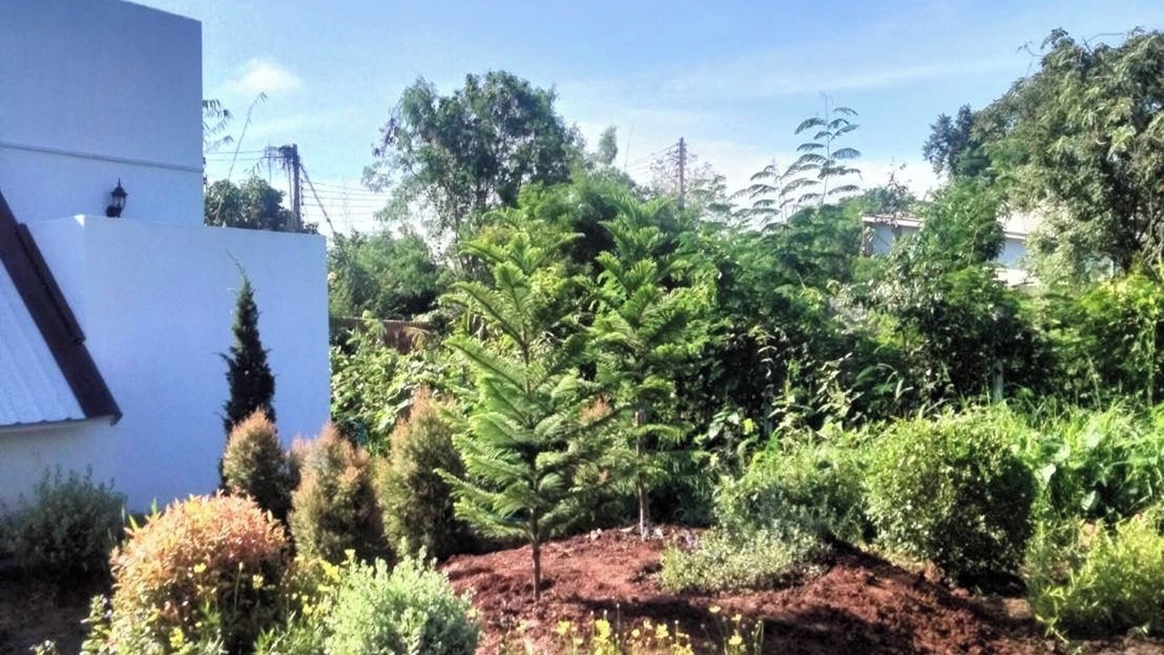 Photo of Outdoor in Pak Chong