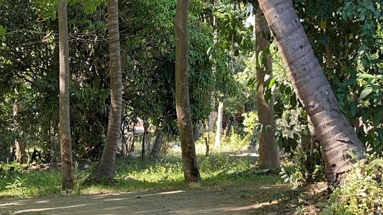 Photo of Outdoor in Ko Yao