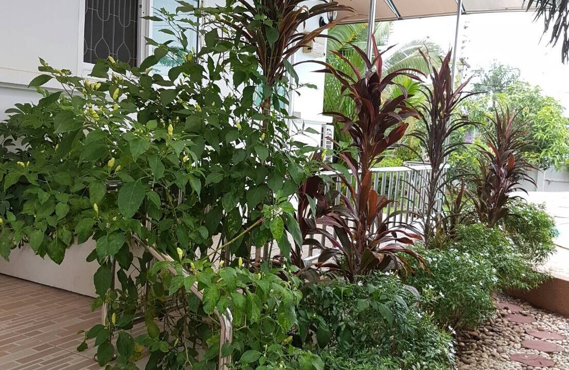 Photo of Outdoor in Si Bun Rueang