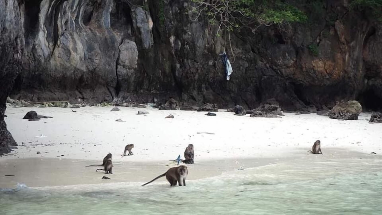 Photo of Others in Ko Phi Phi
