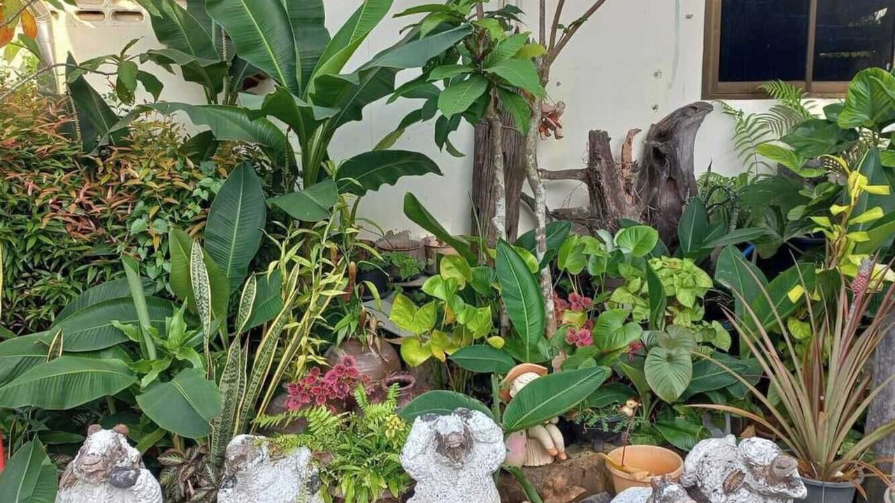 Photo of Outdoor in Nuea Khlong