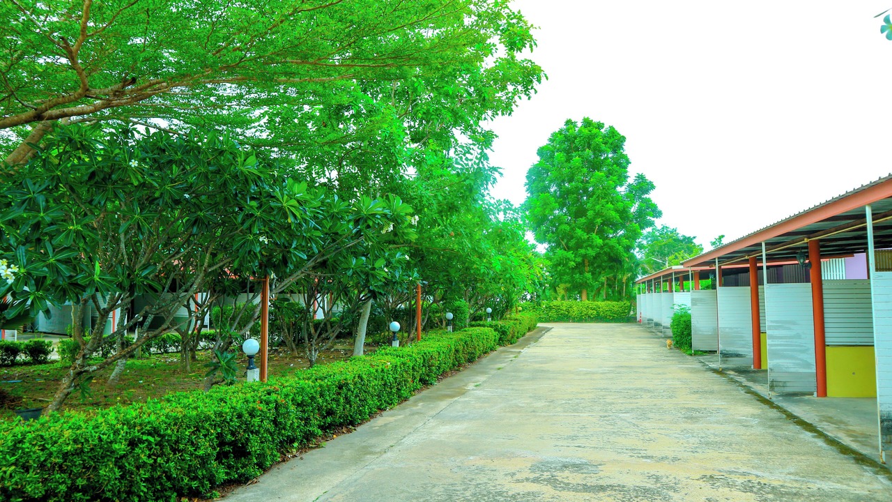 Photo of Outdoor in Phetchaburi