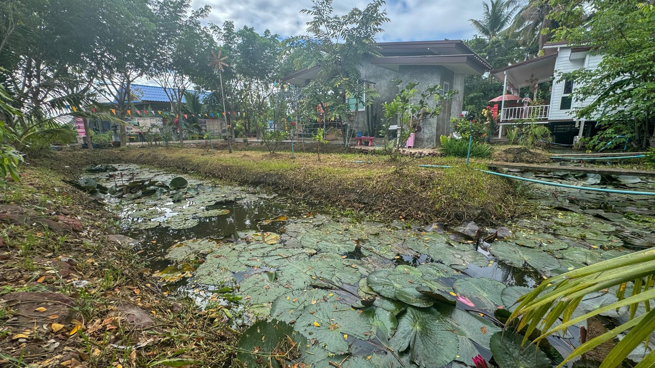 Photo of Outdoor in Amphawa