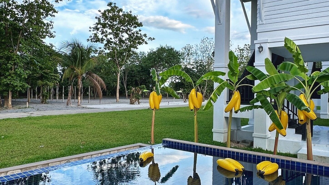Photo of Outdoor in San Pa Thong