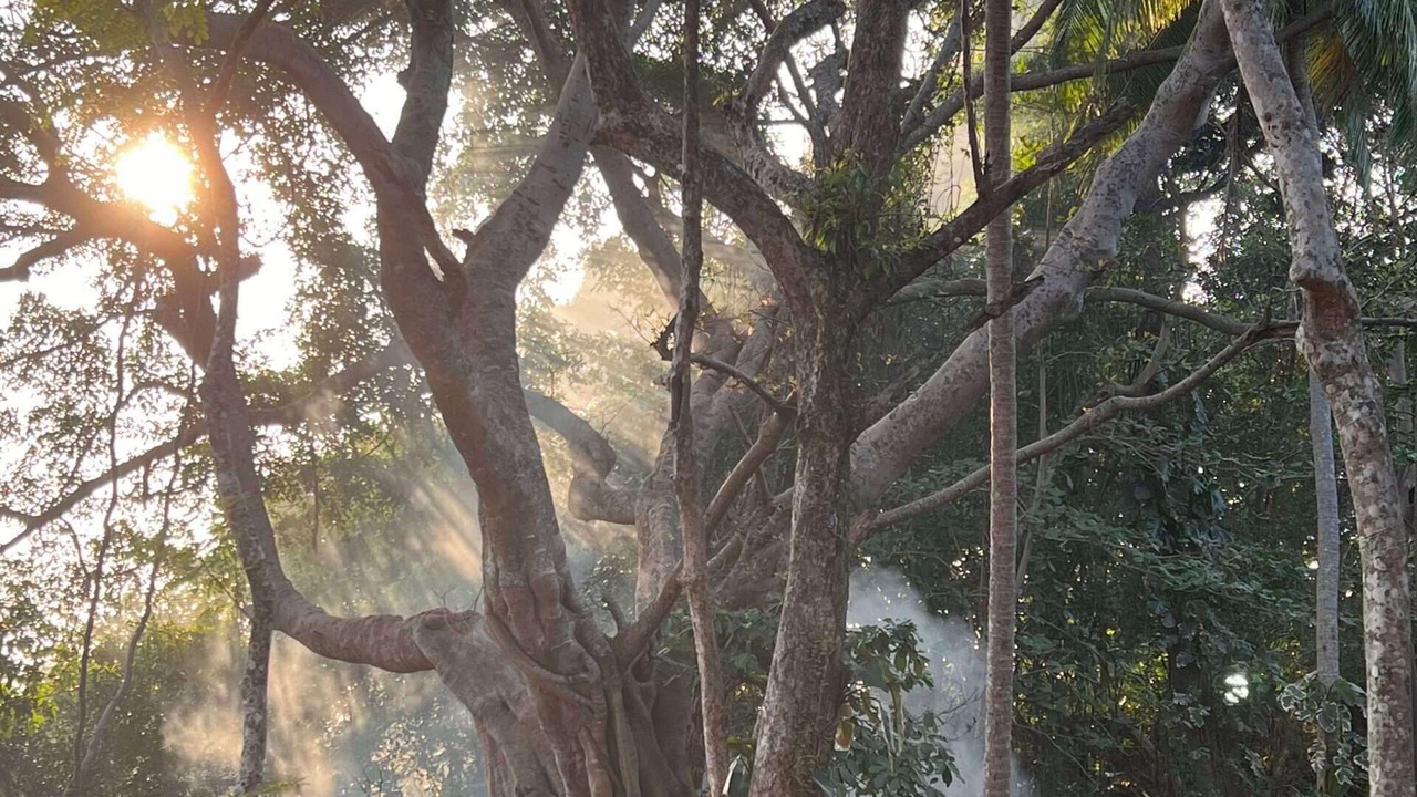 Photo of Outdoor in Bang Bao Bay