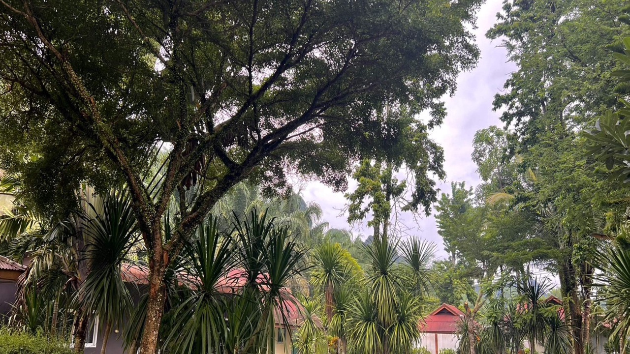 Photo of Outdoor in Ao Luek