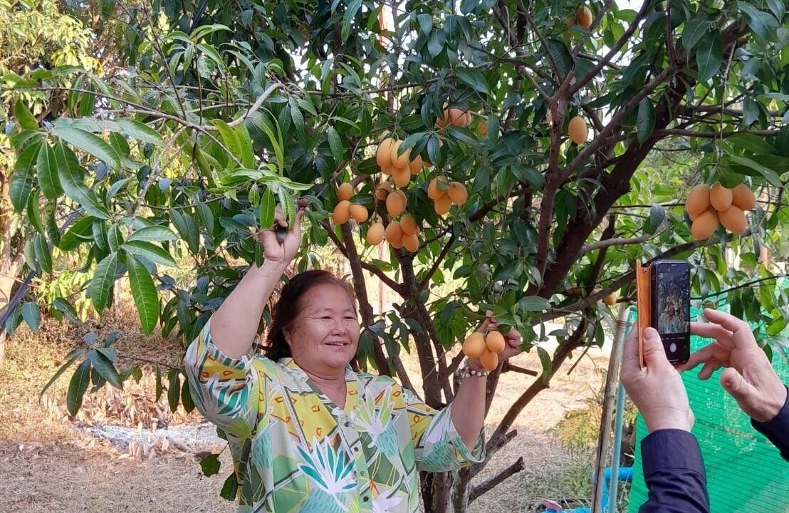 Photo of Outdoor in Nakhon Nayok