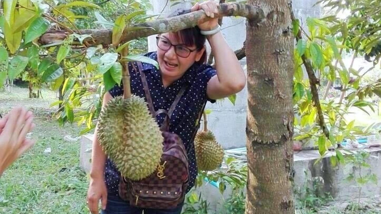 Photo of Outdoor in Nakhon Nayok