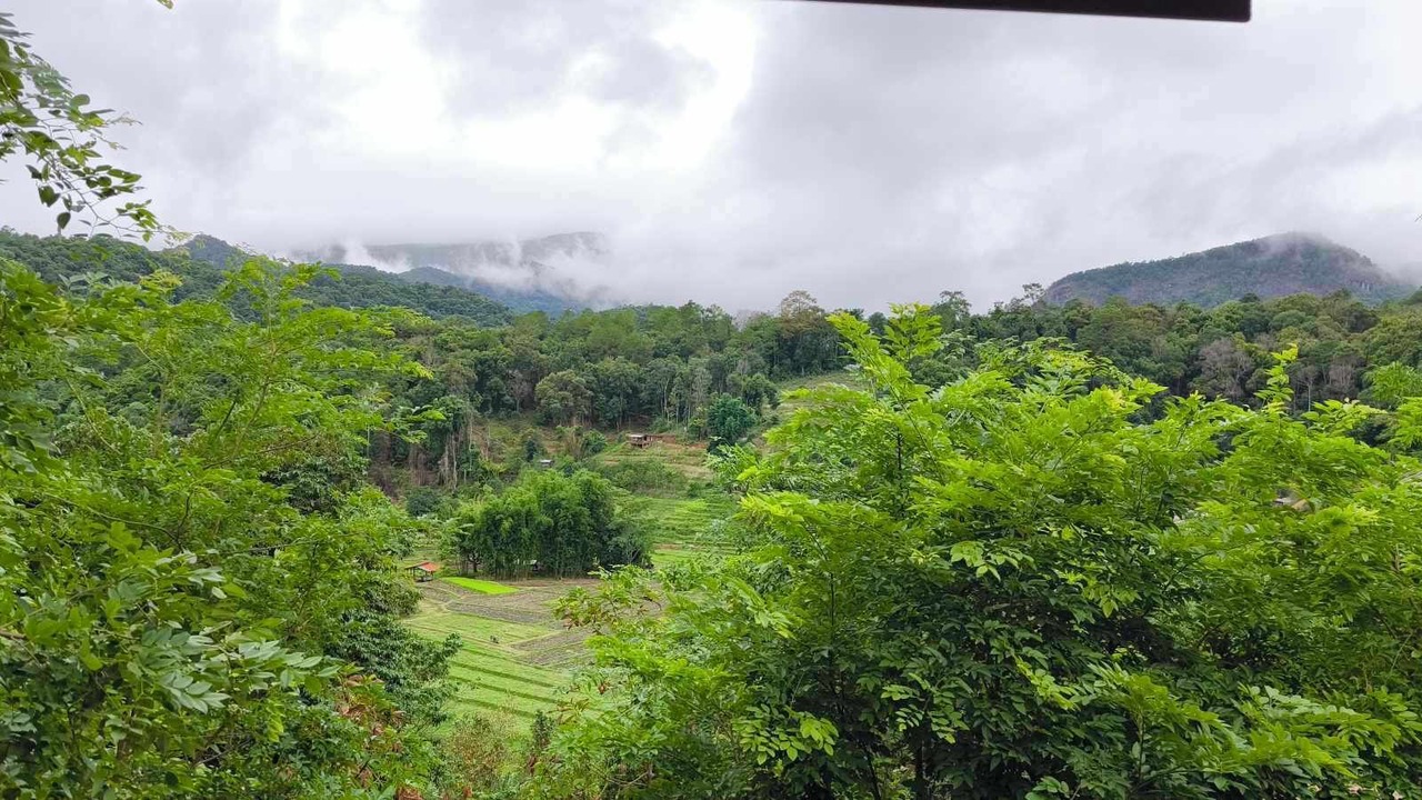 Photo of Others in Chom Thong